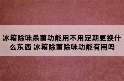 冰箱除味杀菌功能用不用定期更换什么东西 冰箱除菌除味功能有用吗